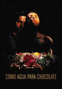 دانلود فیلم مثل آب برای شکلات Like Water for Chocolate 1992