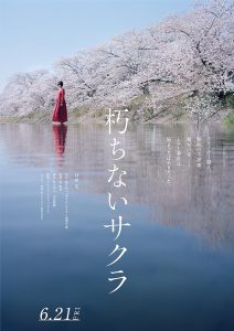 دانلود فیلم ساکورا Sakura 2024